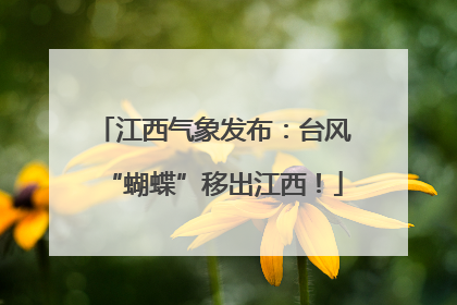 江西气象发布：台风“蝴蝶”移出江西！