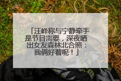 汪峰称与宁静牵手是节目需要，深夜晒出女友森林北合照：我俩好着呢！