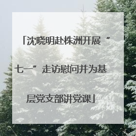 沈晓明赴株洲开展“七一”走访慰问并为基层党支部讲党课