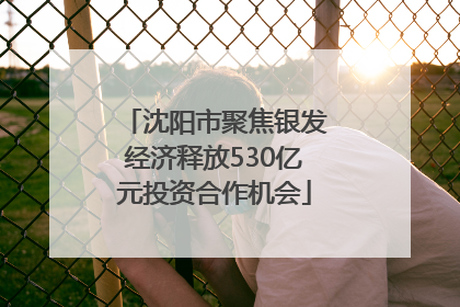 沈阳市聚焦银发经济释放530亿元投资合作机会
