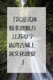 沉浸式体验非遗魅力 江苏阜宁庙湾古城上演文化盛宴