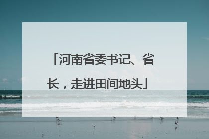 河南省委书记、省长，走进田间地头