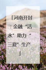 河南开封：金融“活水”助力“三夏”生产