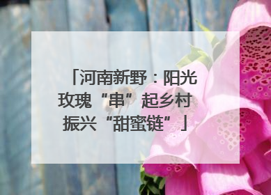 河南新野：阳光玫瑰“串”起乡村振兴“甜蜜链”