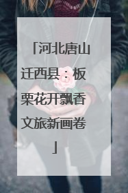 河北唐山迁西县：板栗花开飘香文旅新画卷