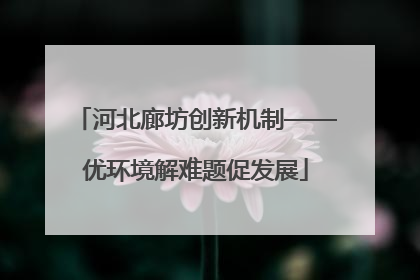 河北廊坊创新机制——优环境解难题促发展