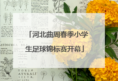 河北曲周春季小学生足球锦标赛开幕