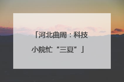 河北曲周：科技小院忙“三夏”