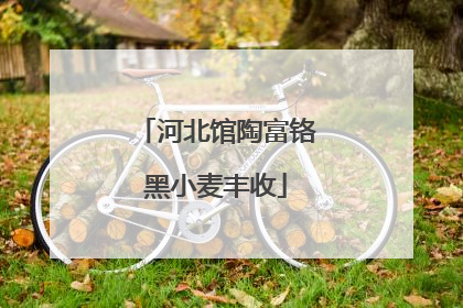 河北馆陶富铬黑小麦丰收