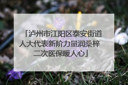 泸州市江阳区泰安街道人大代表新阶力量润桑梓 二次医保暖人心