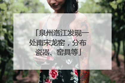 泉州洛江发现一处南宋龙窑，分布瓷器、窑具等