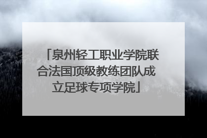 泉州轻工职业学院联合法国顶级教练团队成立足球专项学院