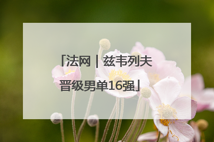 法网｜兹韦列夫晋级男单16强