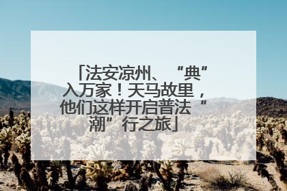 法安凉州、“典”入万家！天马故里，他们这样开启普法“潮”行之旅