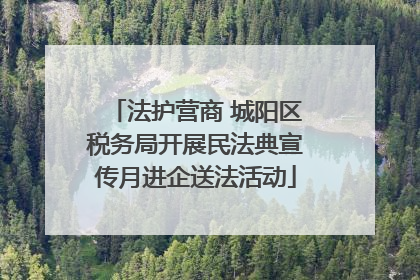 法护营商 城阳区税务局开展民法典宣传月进企送法活动