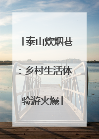 泰山炊烟巷：乡村生活体验游火爆
