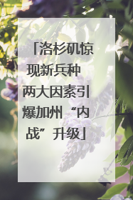 洛杉矶惊现新兵种 两大因素引爆加州“内战”升级