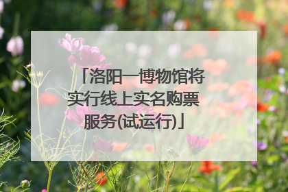洛阳一博物馆将实行线上实名购票服务(试运行)