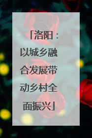 洛阳：以城乡融合发展带动乡村全面振兴