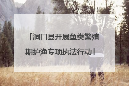 洞口县开展鱼类繁殖期护渔专项执法行动