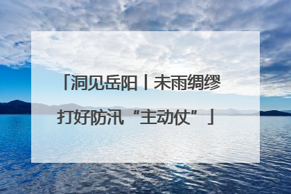 洞见岳阳丨未雨绸缪 打好防汛“主动仗”