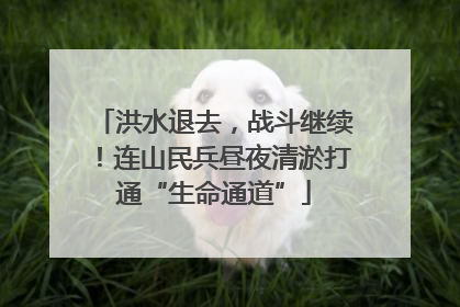 洪水退去，战斗继续！连山民兵昼夜清淤打通“生命通道”