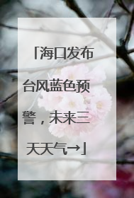 海口发布台风蓝色预警，未来三天天气→