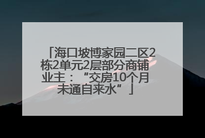 海口坡博家园二区2栋2单元2层部分商铺业主：“交房10个月未通自来水”
