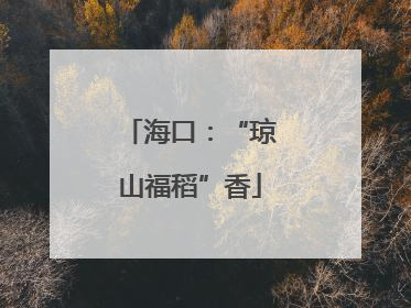 海口：“琼山福稻”香