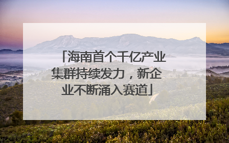 海南首个千亿产业集群持续发力，新企业不断涌入赛道