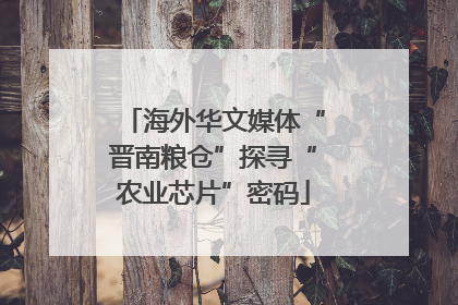 海外华文媒体“晋南粮仓”探寻“农业芯片”密码