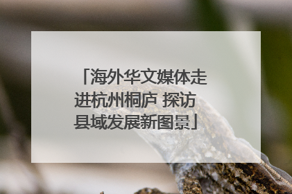 海外华文媒体走进杭州桐庐 探访县域发展新图景