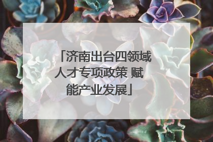济南出台四领域人才专项政策 赋能产业发展