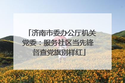 济南市委办公厅机关党委：服务社区当先锋 督查党旗别样红