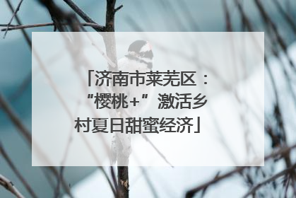 济南市莱芜区：“樱桃+”激活乡村夏日甜蜜经济