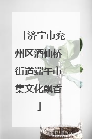 济宁市兖州区酒仙桥街道端午市集文化飘香