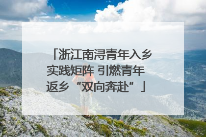 浙江南浔青年入乡实践矩阵 引燃青年返乡“双向奔赴”