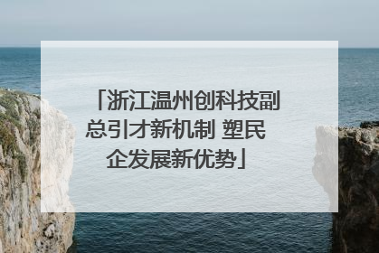 浙江温州创科技副总引才新机制 塑民企发展新优势