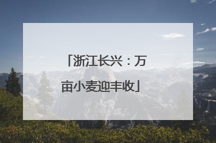 浙江长兴：万亩小麦迎丰收
