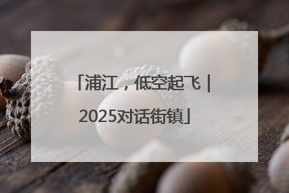 浦江，低空起飞｜2025对话街镇