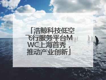 浩鲸科技低空飞行服务平台MWC上海首秀，推动产业创新