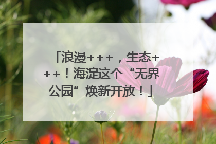 浪漫+++，生态+++！海淀这个“无界公园”焕新开放！