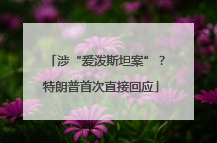 涉“爱泼斯坦案”？特朗普首次直接回应