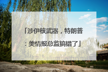 涉伊核武器，特朗普：美情报总监搞错了