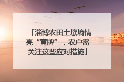淄博农田土壤墒情亮“黄牌”，农户需关注这些应对措施