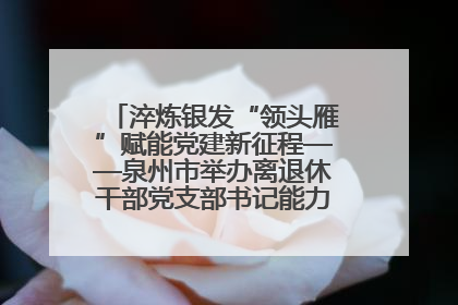 淬炼银发“领头雁”赋能党建新征程——泉州市举办离退休干部党支部书记能力建设专题培训