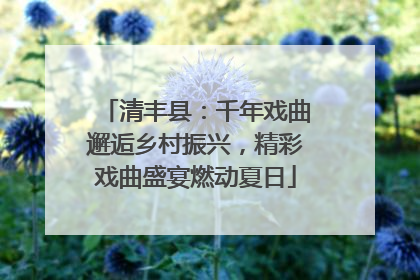 清丰县：千年戏曲邂逅乡村振兴，精彩戏曲盛宴燃动夏日