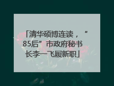 清华硕博连读，“85后”市政府秘书长李一飞履新职