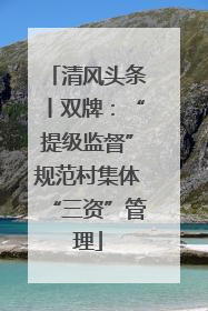 清风头条丨双牌：“提级监督”规范村集体“三资”管理