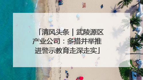 清风头条｜武陵源区产业公司：多措并举推进警示教育走深走实